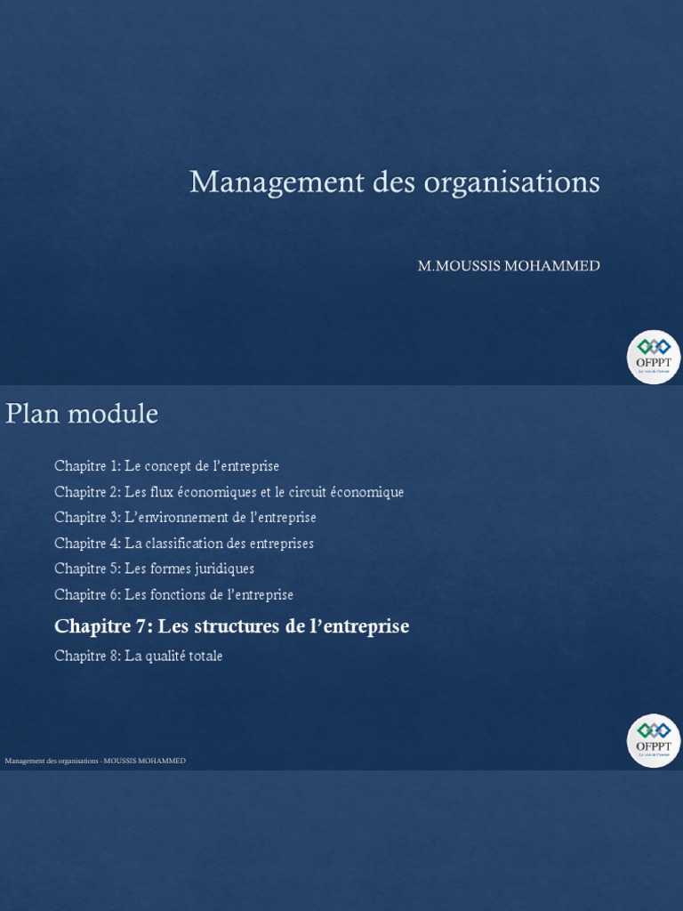 Comment Les Rapports Sociaux S organisent Ils Dans L entreprise Schéma Chapitre 7 Les Structures de L'entreprise | PDF | Business | Risque