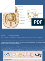 Hipocampo Memoria Parte2 071022 PDF