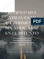 Ebook Cómo Atravesar La Tormenta Sin Morir en El Intento