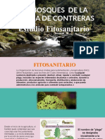 Estudio Fitosanitario Metodologia