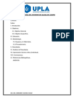 Estructura Del Informe de Salida de Campo - Upla 2022