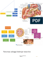 Anatomi PPT Endokrin