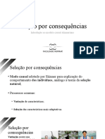 Curso João