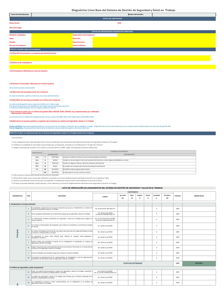 Diagnóstico Línea Base Del Sgsst Pdf Planificación Business