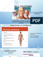 Tema 1 Anatomia