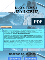 TEMA 1 Ingesta y Excreta