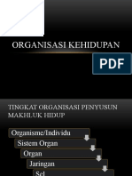 Organisasi Kehidupan