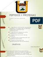 Peptidos y Proteinas 2022