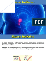 Sistema endócrino e seus principais hormônios