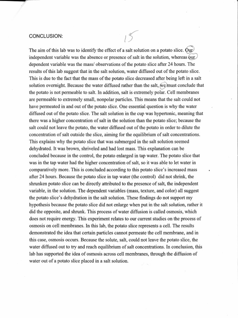 Conclusion Example | PDF