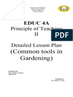 Lesson Plan