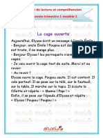 Examen de Lecture Et Comprehension