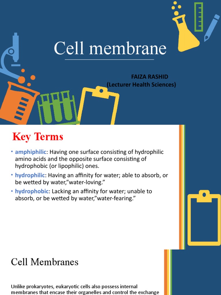 Cell Membrane | PDF | Cell Membrane | Phospholipid