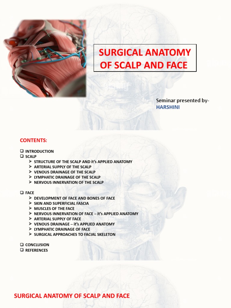 SCLP N Face | PDF | Human Nose | Common Carotid Artery