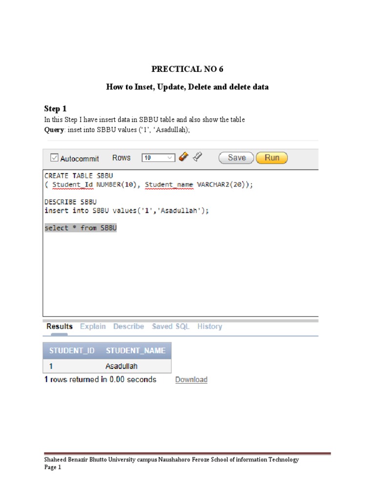 Use of DML Statement | PDF