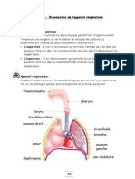 La Respiration Chez L Homme Cours Ma