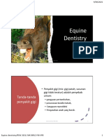 Praktikum Equine Dentistry RSW 2021