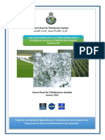 Rapport_final_cartograhie_irrigation_locale