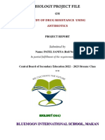 Biology Project Report on Study of Drug Resistance Using Antibiotics