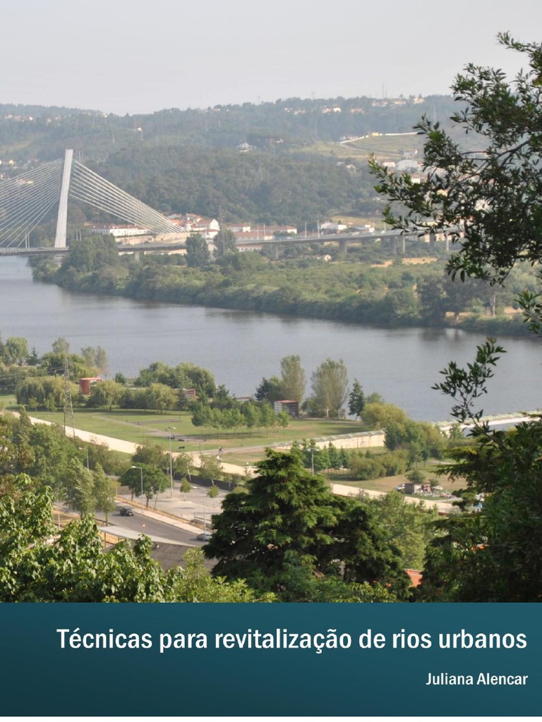 Técnicas para Revitalização de Rios Urbanos | PDF