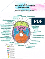 Agujeros Del Craneo y Su Contenido PDF