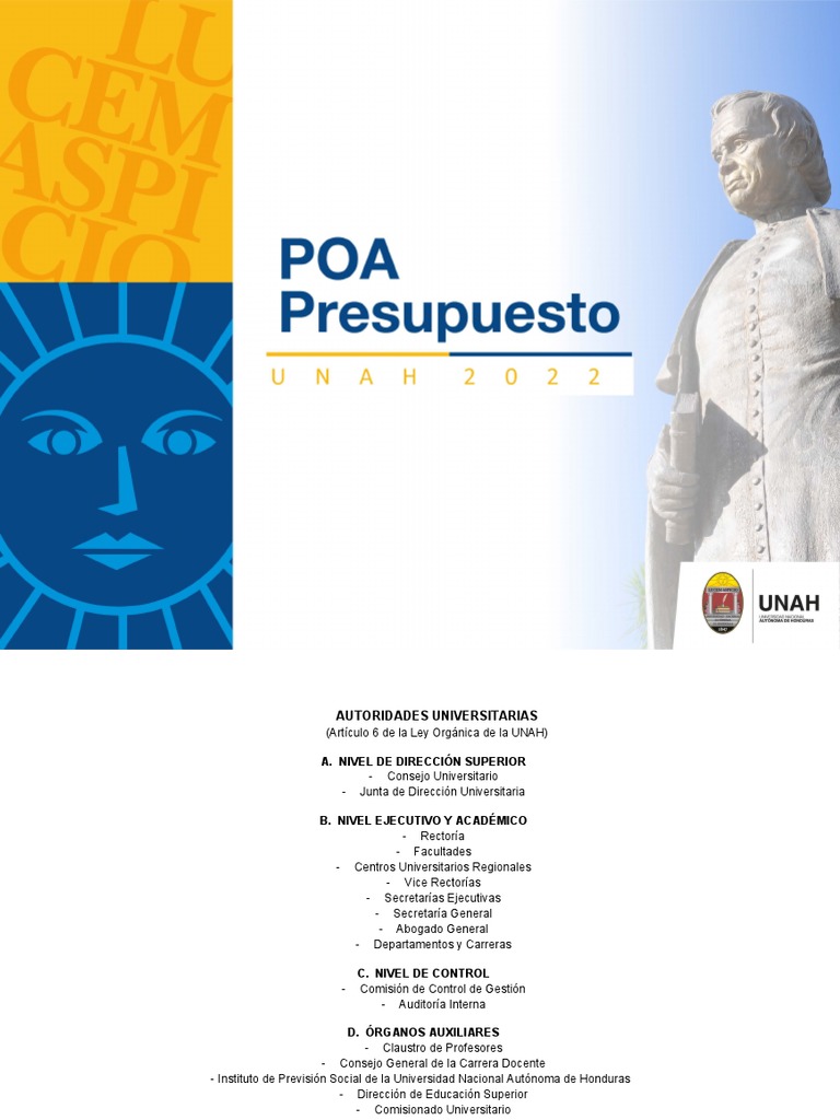 poa-2022-informe-institucional-descargar-gratis-pdf-planificaci-n