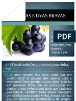 Uvas Boas e Uvas Bravas Isaías 5:1-6 