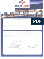 Certificado RAC's 02 e 03-Leandro de Paula Fernandes-1-2