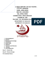 Geological Field Report On Salt Range, Punjab