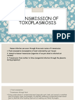 Transmission of Toxoplasmosis