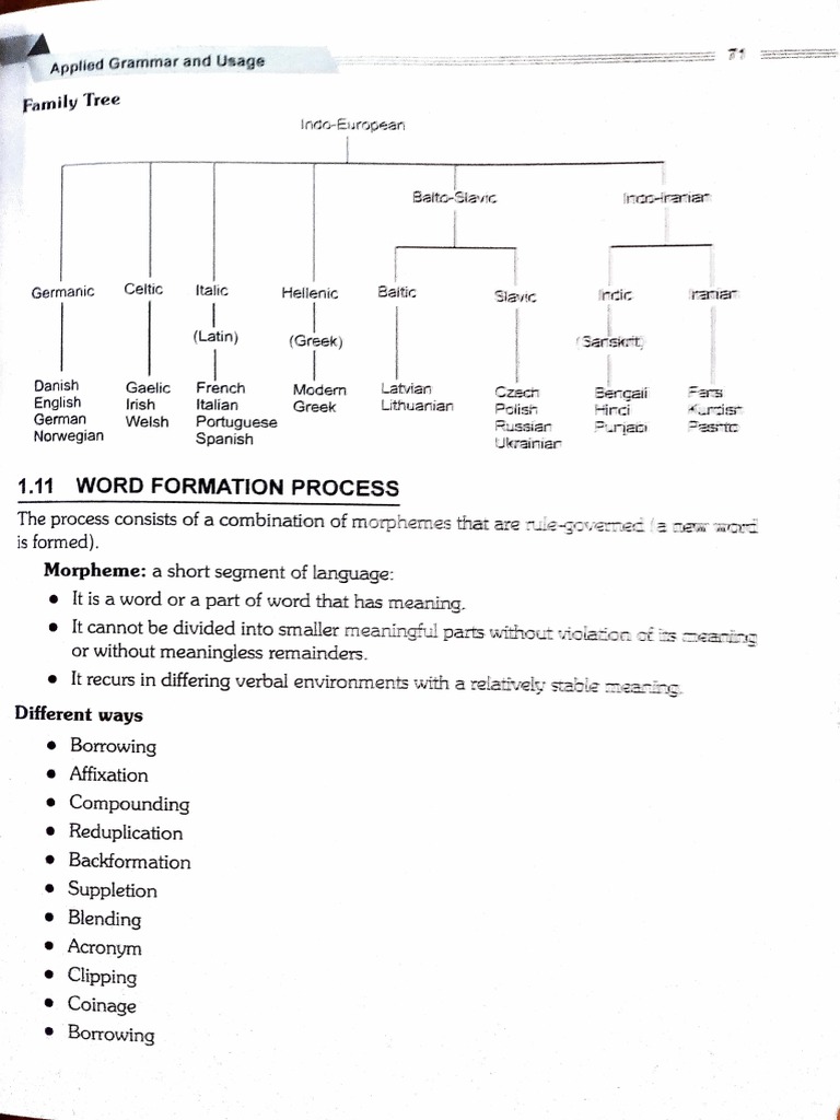 Word Formation Processes Explained | PDF | Word | Language Mechanics