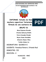 Informe-Estudio de La Llama-Grupo 1