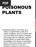 DR Reckeweg R. No. | PDF | Homeopathy | Plants