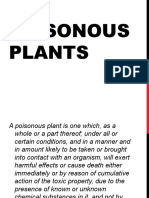 Poisonous Plants