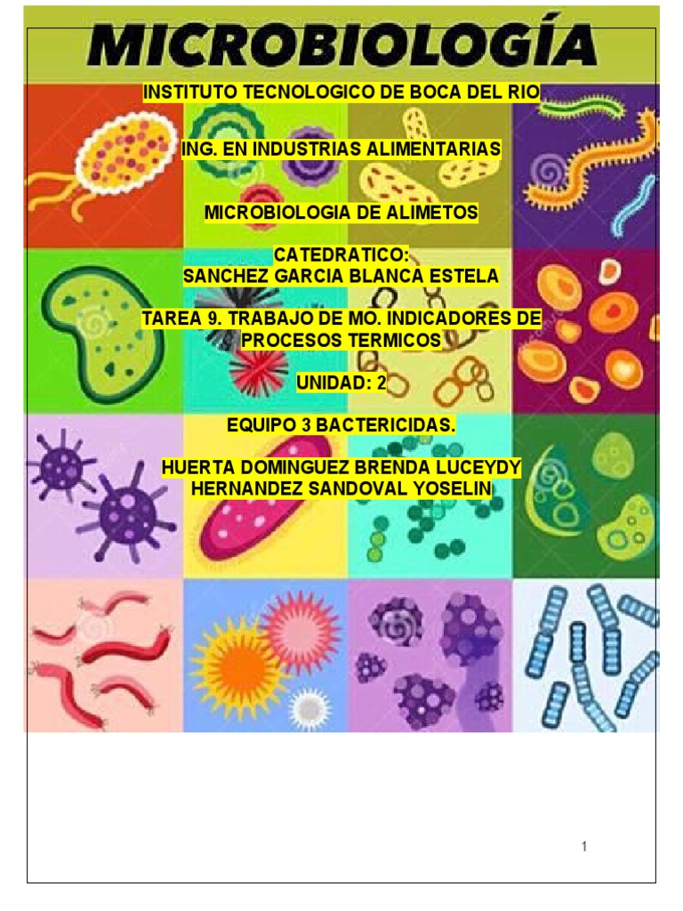 Mesofilos PDF Las bacterias Alimentos