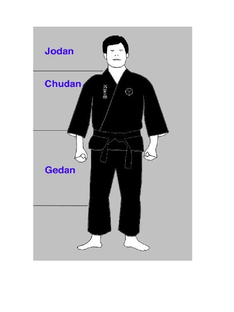 Jodan Chudan Gedan | PDF