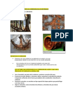 Corrosion de Los Materiales