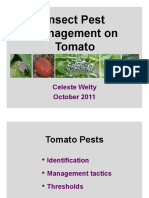 Slides TomatoPests2011-1n14ieg