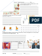 Sistemul Endocrin