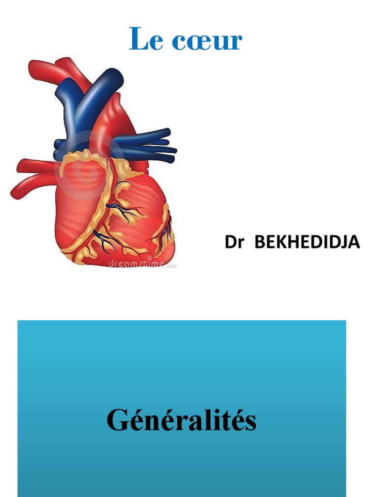 2-Configuration Extérieure Du Cœur | PDF | Cœur | Atrium (anatomie)