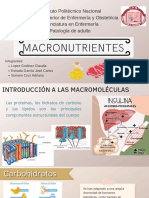 Macronutrientes 