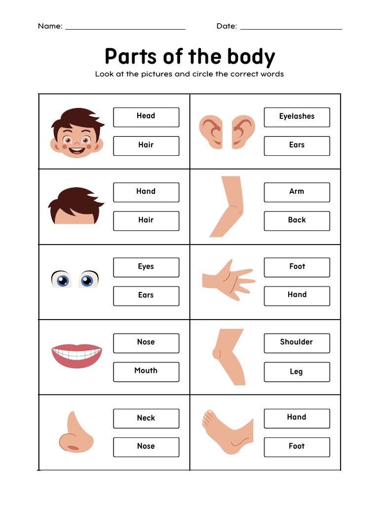 parts of the body spelling english