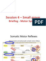 4 - Motor System