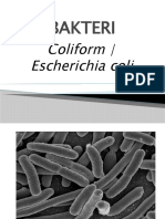Deteksi Bakteri Coliform dan Escherichia coli