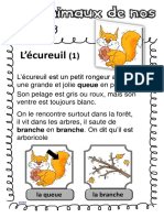 Écureuil CP Ipotâme