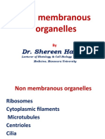 Non membranous organelles by Dr. Shereen Hamed
