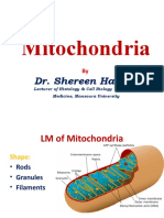 2 Mitochondria