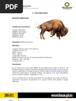 Download Plan de Manejo Del Bisonte Americano by Neutron El Enmascarado Negro SN61702345 doc pdf