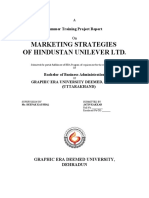 Marketing Strategies of Hul