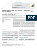 A Common Framework of Natural Capital